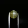 CH24060901 - 1.31ct Round Yellowish Green Cats Eye