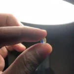 riding-snake