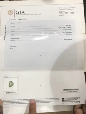 The 100 Million LKR Gemstone That Was Never Sold – Serendibite